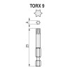 PUNTAS TORX 1/4" 25mm