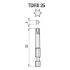 PUNTAS TORX 1/4" 50mm