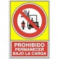 SEÑAL 536 ADHESIVA 148x105 "PROHIBIDO PERMANECER BAJO LA CARGA"