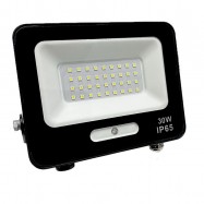 FOCO LED IP65 30W LUZ DIA 6500K